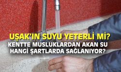 Uşak'ın su kaynakları önümüzdeki günlerde yetecek mi?