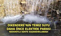 Dikendere'nin temiz akan suyu, elektrik parası nedeniyle kente kazandırılamadı
