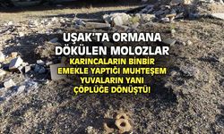 Karıncaların muhteşem yuvalarının yanı başı şehir çöplüğü gibi!
