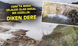 Uşak'ın Diken Deresi'ndeki minik şelale doğal süs havuzu gibi