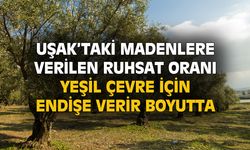 Uşak'taki madencilik ruhsatları çevre için endişe verir boyutta