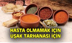 Uşak tarhanasını içen, hastalıklara karşı daha dirençli oluyor