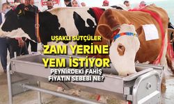 Uşaklı sütçüler ZAM yerine YEM istiyor