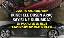 Uşak'ta kaç otomobil ikinci ele düştü?