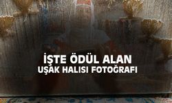 Uşak halısını dokuyan kadın fotoğrafı ödül aldı