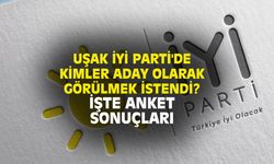 Uşak İYİ Parti'de en çok oy alan aday kim oldu?