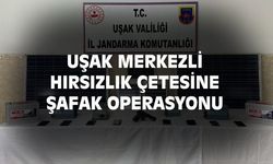 Uşak'ta hırsızlık çetesine şafak operasyonu!