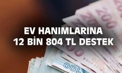 Ev hanımlarına devlet tarafından 12 bin 804 TL destek verilecek