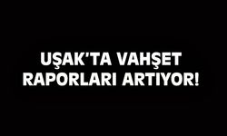 Uşak için artan vahşet raporlarını hatırlattı!