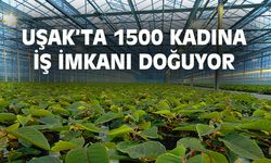 Uşak’ta en az bin 500 kadına iş imkanı doğuyor