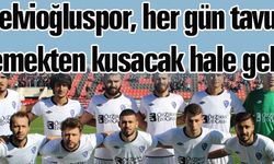 AŞİGOLAR, TAVUKTAN BIKTI