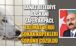 BANAZ BELEDİYESİ, SOKAK KÖPEKLERİNE ÇAREYİ BULDU