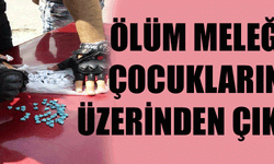 Bonzai neden yaygınlaştı?