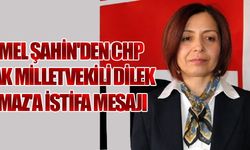 Ekmel Şahin'den Dilek Yılmaz iddiası!