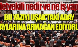 Milletvekili nedir ve ne iş yapar?