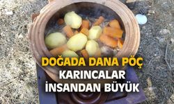 Uşak'ın Karaağaç Çamlığında doğada dana kuyruk kebabı yapımı