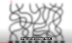 Bu sorulara cevap verenler üstün zekalılar!