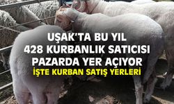 Uşak'ta bu  yıl 438 kurbanlık satıcısı var, işte pazaryerleri