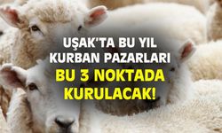 İşte bu yıl Uşak'taki kurban pazaryerleri!