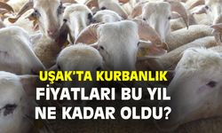 Uşak'ta 2023 kurbanlık fiyatları ne kadar?