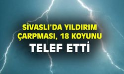 Sivaslı'da yıldırım çarpması sonucu 18 koyun telef oldu