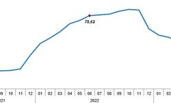 TÜİK'e göre 1 ayda fiyatlar yüzde 3,92 arttı