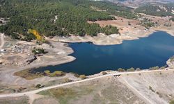 Karaağaç çamlığındaki kır lokantası 20 yıllığına kiralanıyor