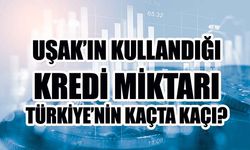 Uşak, kredide İstanbul'un yüzde 2,5'i kadar dahi değil