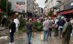 Uşak'ta yağmur ve fırtına nedeniyle çarşı içindeki ağaç devrildi