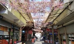 Uşak'ta yüzlerce esnafı ilgilendiren proje için kafalardaki deli soru!