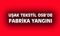 Uşak Tekstil OSB'deki fabrikada yangın çıktı