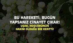 Bu hareketi bugün yapsanız kesin cinayet çıkar! İşte Uşak'taki hoşgörü!