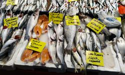 Uşak'ta önceleri 10 lira olan hamsi şimdi 100 TL
