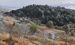 Uşak'a 2023-2024 kış döneminin ilk kar yağışı düştü