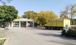 Uşak Şeker'in tadı kaçtı!