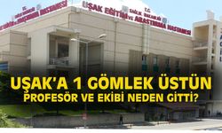 Ben Uşak'a sivilce sıkmaya gelmedim!
