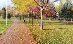 Dökülen yapraklar, Atapark'ı daha güzel hale getirdi