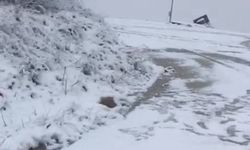 Banaz'ın yüksek kesimlerine kar yağdı! Uşak'taki bu yollarda gizli buzlanmaya dikkat!