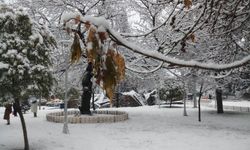 Uşak, Kütahya, Bilecik ve Afyon'da kar yağışının rotası bu akıma bağlı