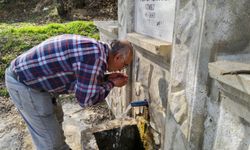 Yaz sıcakları etkisini gösterirken, ne kadar su içeceğimizi öğrenmenin yolu!