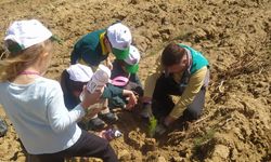 Uşak TOKİ İlkokulu öğrencileri, diktikleri fidanlara mataralarından can suyu verdi