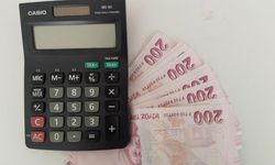 Uşak'ta 15 bin 545 çiftçiye para verilecek! 200 bin liranın üzerinde destek alanlar da var!