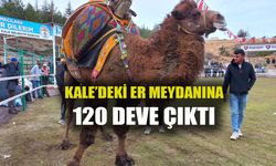 Denizli Kale'de 120 deve kıyasıya yarıştı