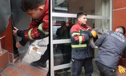 Uşak'ta sokak hayvanlarıyla ilgili kanunun görüşüldüğü binaya sıkışan kedi, güç bela kurtarıldı