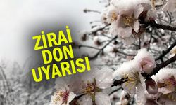 Uzmanlar, Uşak, Denizli ve Afyonkarahisar'daki zararın önüne geçilmesi için uyardı!