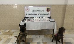 Araz ve Ayaz, Uşaklı gençlerin koruma kalkanı gibi!