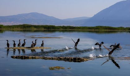 Uşak'tan yoğun ilgi gösterilen Çivril'deki Işıklı Gölün güzelliği