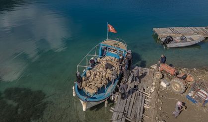 Denizli ve Dalaman arasında koyunlarını kara ve deniz yoluyla taşıyorlar!