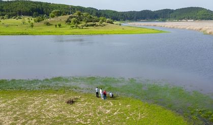 Uşak'a yakın mesafedeki Buldan Yayla Gölü'nün doğal güzellikleri
