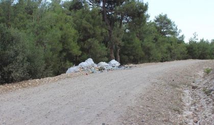 ORMANI ÇÖPLÜK GİBİ KULLANMIŞLAR
